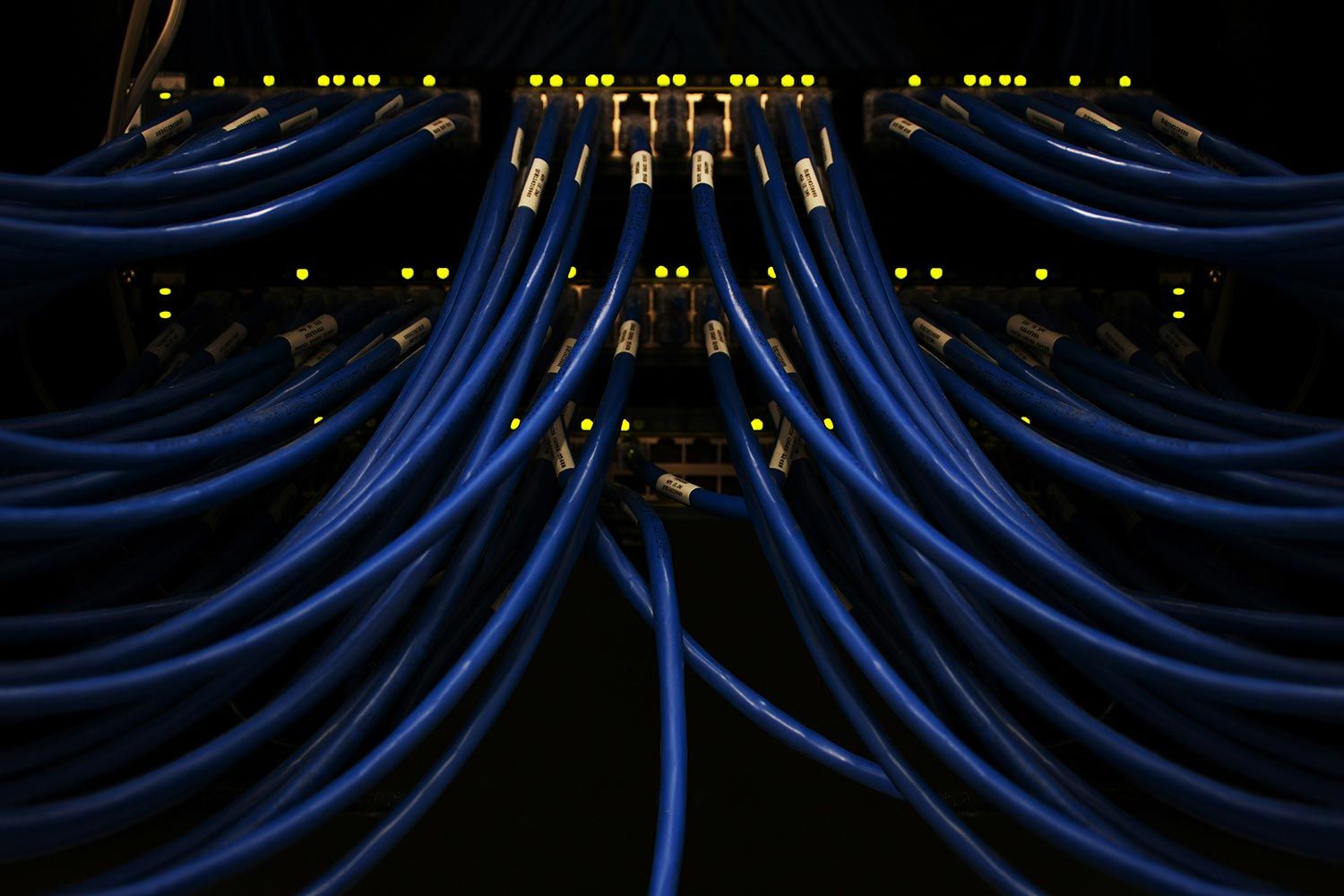 A close-up view of blue network cables connected to a server, with glowing indicator lights highlighting active connections.