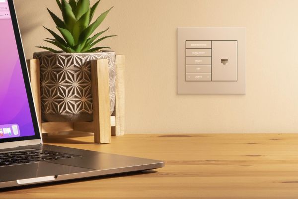 A tidy workspace featuring a wall-mounted control panel, laptop on a wooden desk, and decorative plant.