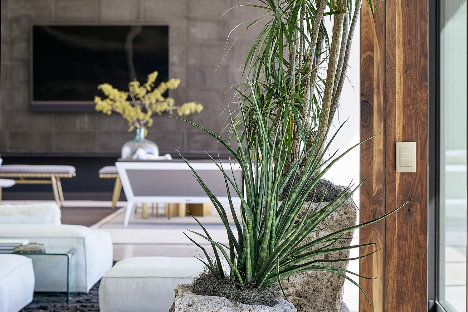 A lush indoor space with large plants, a sleek wall switch, and a modern living area in the background.